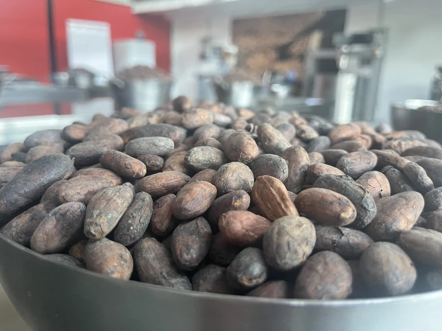 Bean To Bar